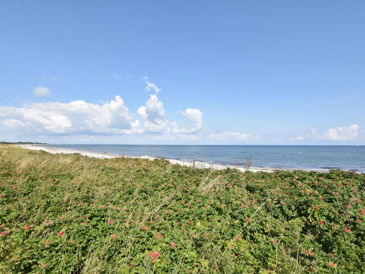 Charming Apartment In Pugholz Near Sea Hasselberg  エクステリア 写真