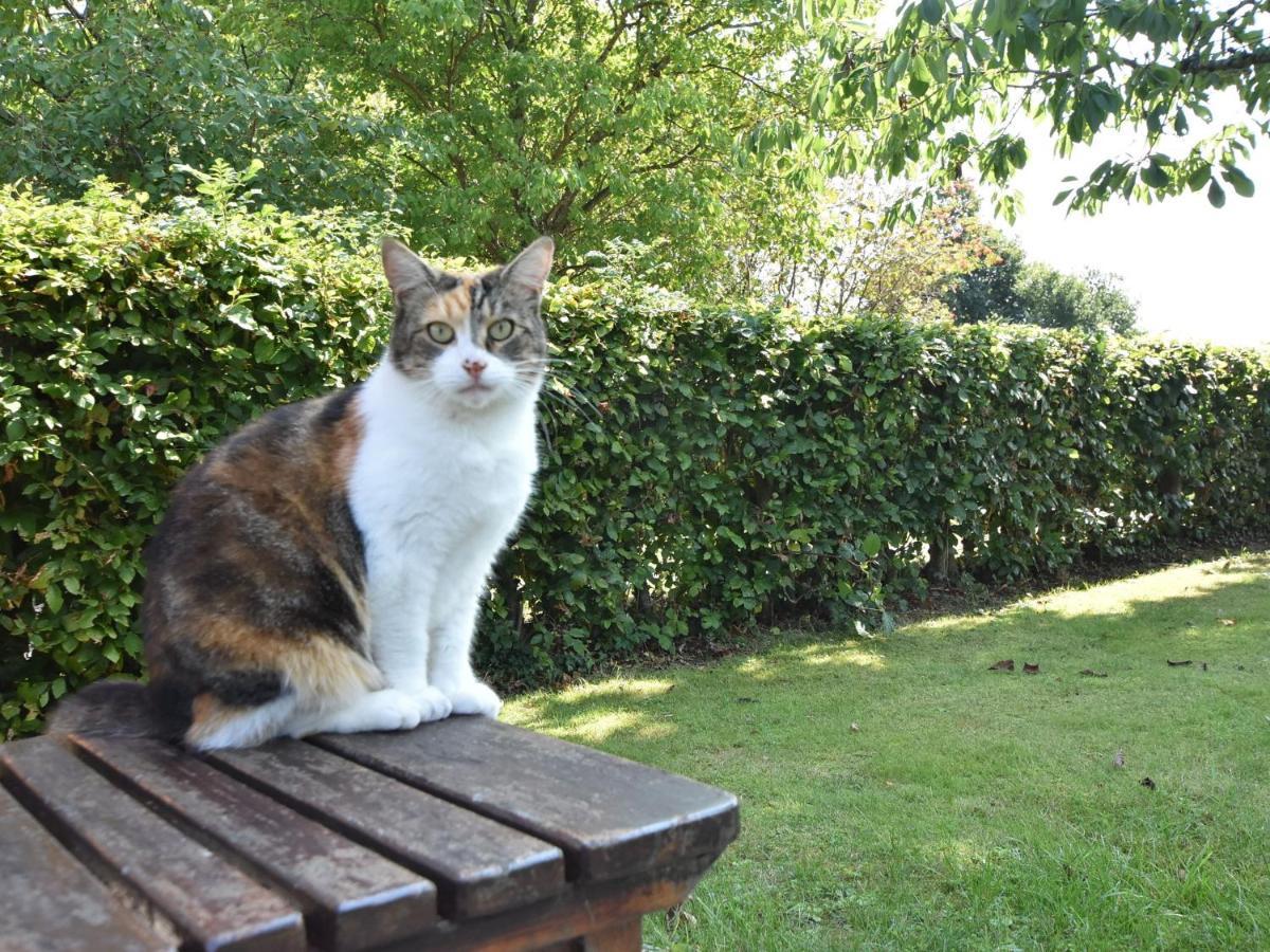 Charming Apartment In Pugholz Near Sea Hasselberg  エクステリア 写真